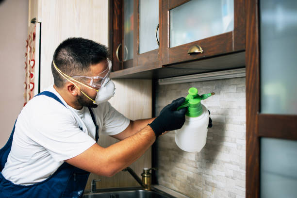 Best Best Pest Control Companies  in Fredonia, WI