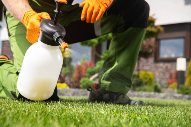 Best Pest Inspection Near Me  in Fredonia, WI