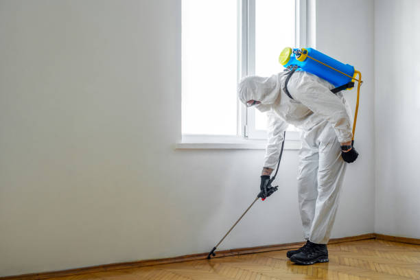 Best Cockroach Control Services  in Fredonia, WI