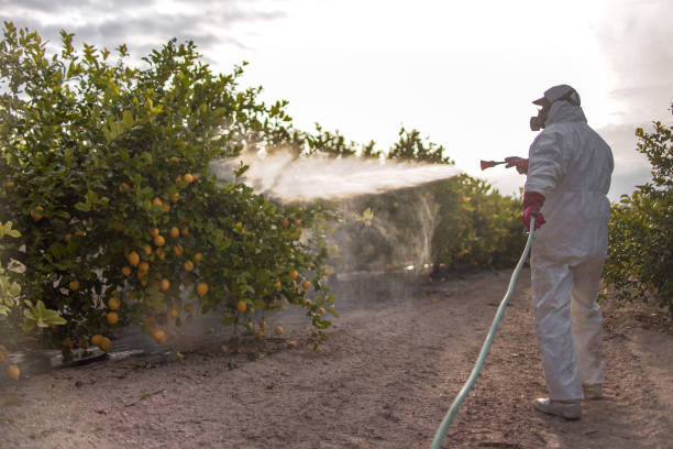 Best Emergency Pest Control  in Fredonia, WI