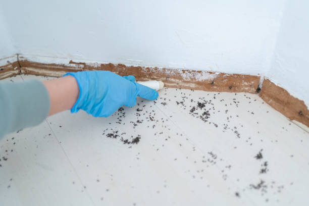 Best Pest Control for Businesses  in Fredonia, WI